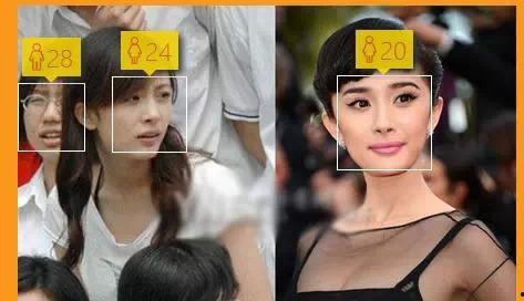 测像哪个明星软件,一键解锁明星魅力之谜