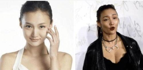 吸毒后的明星,吸毒明星的沉沦与反思