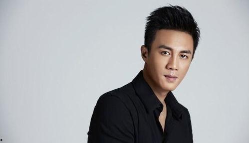 中国男明星最帅,盘点最帅男星风采