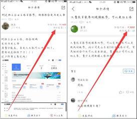 有趣的头条视频自媒体号,自媒体号背后的趣味故事