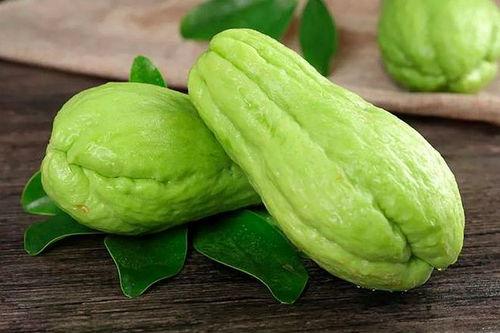 宝宝吃毛瓜还是蒲瓜好呢,宝宝辅食选择指南