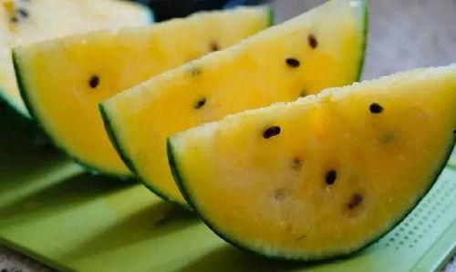 去甘肃吃瓜,甘肃特色瓜果之旅