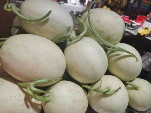 海南吃瓜视频,揭秘热带风情下的美食盛宴