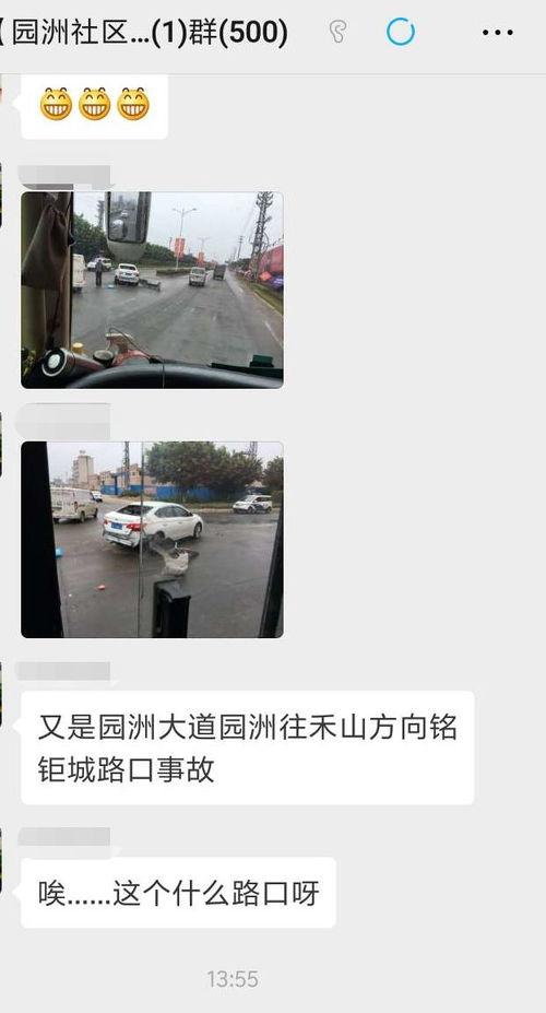 园洲今日爆料新闻,突发事件引发热议，详情揭晓！