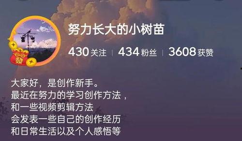 头条写作在哪个领域好,揭秘高热度领域，轻松打造爆款文章