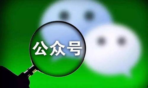 头条公众号怎么评论,洞察舆情风向，解锁内容创作新思路