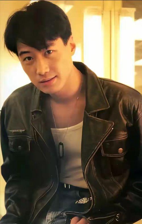 黎明 像的明星,揭秘“像”的明星魅力