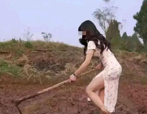 网红犁田机,农业现代化的新宠儿