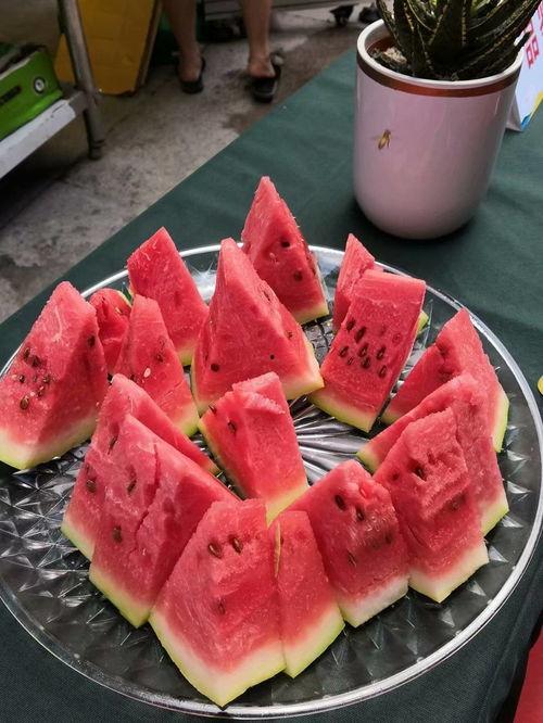 宁夏吃瓜榜,探寻宁夏吃瓜榜上的美味佳肴