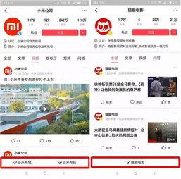长沙头条小程序公司,打造本地资讯新生态，一键掌握长沙动态