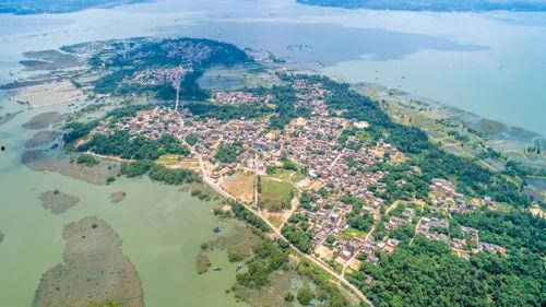 湛江新闻头条徐闻县,湛江新闻头条聚焦发展新篇章