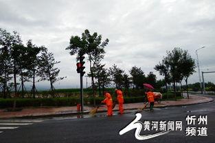 忻州梨花街新闻头条,游客如织共赏春色