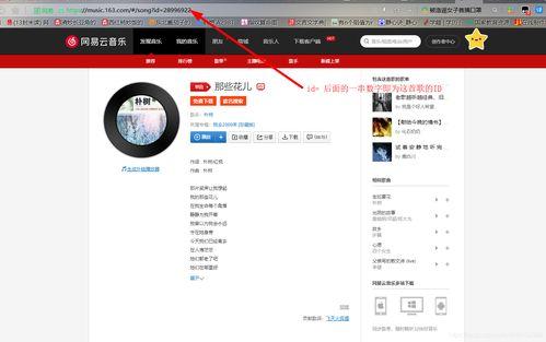 头条美文如何加入音乐