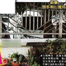 香港加多利山明星,明星汇聚的璀璨高地