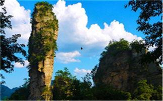 张家界爆料视频大全最新,揭秘自然奇观背后的故事与奇闻