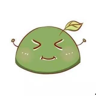 团子 网红,从网红到现象，揭秘网络红人的崛起之路”