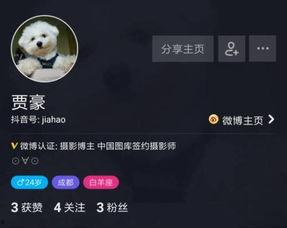 如何开通企业抖音头条号,轻松开启品牌新篇章