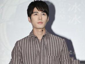 税姓的明星,税姓明星闪耀娱乐圈