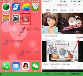 头条怎么给图文分类,头条内容高效归类技巧揭秘