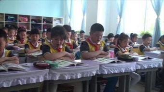 学校 在线观看,探索学校在线观看新篇章