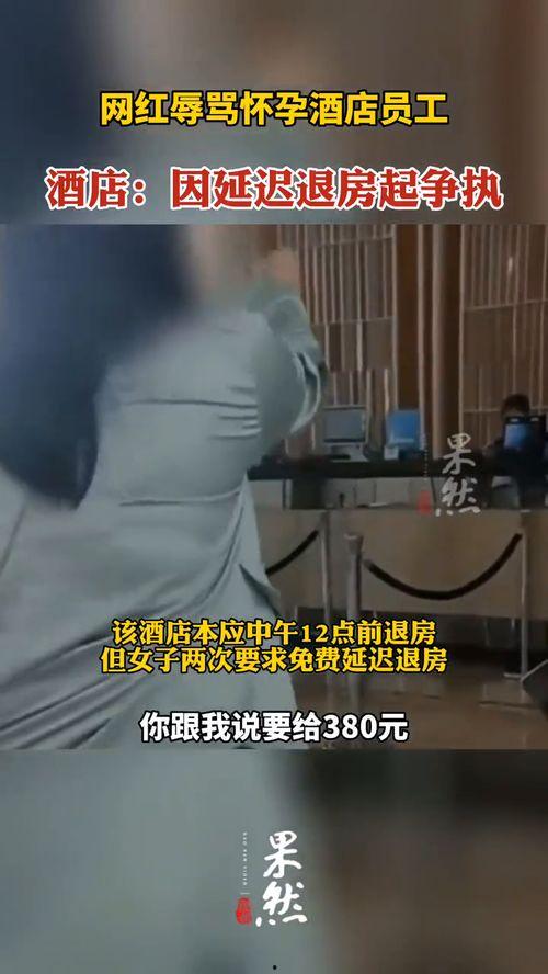 网红辱骂酒店怀孕,网红酒店辱骂事件引发社会关注