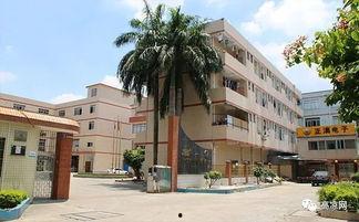 高州有什么网红公司吗,揭秘热门网红聚集地