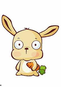 网红蹦豆儿,网红界的活力蹦床达人