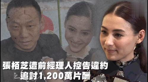 穿越娱乐吃瓜,揭秘明星背后的吃瓜故事